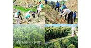 Cơ quan nào có thẩm quyền thành lập khu rừng đặc dụng, khu rừng phòng hộ?