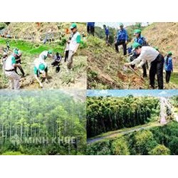 Cơ quan nào có thẩm quyền thành lập khu rừng đặc dụng, khu rừng phòng hộ?