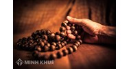 Tứ chánh cần là gì ? Các nội dung của Tứ chánh cần trong Đạo Phật