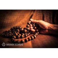 Tứ chánh cần là gì ? Các nội dung của Tứ chánh cần trong Đạo Phật