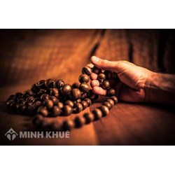 Tứ chánh cần là gì ? Các nội dung của Tứ chánh cần trong Đạo Phật
