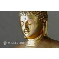 Ngũ căn (Pañcindriya) là gì ? Ngũ lực (Pañcabala) là gì ?