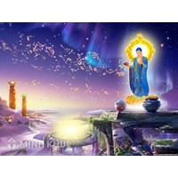 Thất giác chi (Satta-bojjhaṅga) là gì ? Nội dung của thất giác chi theo Đạo Phật