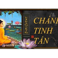 Chánh tinh tấn (Sammāvāyāma) là gì ? Quan niệm Đạo Phật về chánh tinh tấn