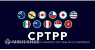 Các cam kết trong Hiệp định CPTPP về lĩnh vực Dịch vụ và Đầu tư
