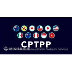 Các cam kết trong Hiệp định CPTPP về lĩnh vực Dịch vụ và Đầu tư