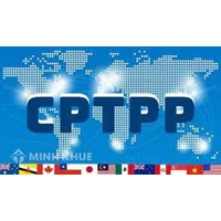 Tổng quan về Hiệp định Đối tác Toàn diện và Tiến bộ xuyên Thái Bình Dương (CPTPP)