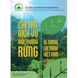 Mức chi trả và xác định số tiền chi trả dịch vụ môi trường rừng theo quy định mới nhất hiện nay