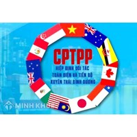 Một số cam kết bắt buộc thực hiện theo quy định của CPTPP và EVFTA