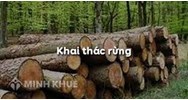 Mức phạt hành chính hành vi khai thác rừng trái pháp luật như thế nào?