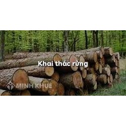 Mức phạt hành chính hành vi khai thác rừng trái pháp luật như thế nào?