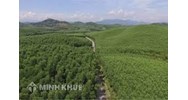 Quy định của pháp luật hiện hành về phòng cháy rừng như thế nào?