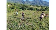 Trách nhiệm của các bên trong việc phòng, chống cháy rừng
