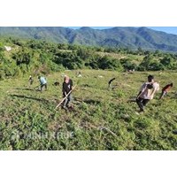 Trách nhiệm của các bên trong việc phòng, chống cháy rừng