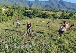 Trách nhiệm của các bên trong việc phòng, chống cháy rừng