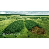 Mức phạt hành vi vi phạm các quy định về bảo vệ động vật rừng như thế nào?