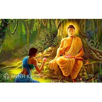 Đức Phật là ai ? Giáo pháp, tăng đoàn, quy y, ngũ giới của Đức Phật