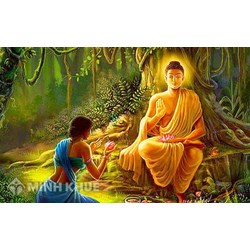 Đức Phật là ai ? Giáo pháp, tăng đoàn, quy y, ngũ giới của Đức Phật