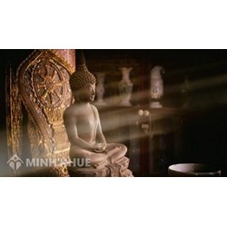 Chánh tri kiến là gì ? Lời dạy của Đức Phật về chánh tri kiến (Hiểu biết đúng)