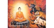 Chánh tư duy là gì ? Chánh ngữ là gì ? Chánh nghiệp là gì ? Chánh mạng là gì ?