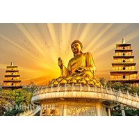 Theo Phật Giáo, tiêu chuẩn của luân lý là gì ?