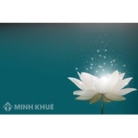Sự báo ứng của Nghiệp ? Cách phân loại Nghiệp theo quan điểm của Đạo Phật