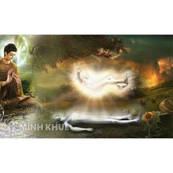 Do đâu mà chúng ta có thể tin rằng có tái sinh theo Đạo Phật ?