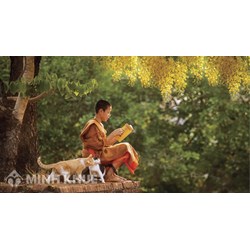 Nghiệp chuyển lên và Nghiệp chuyển xuống theo Đạo Phật