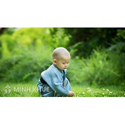 Con người là ai? Từ đâu đến? Đi về đâu? Tại sao? Mục tiêu là gì? trong kiếp nhân sinh của Đạo Phật