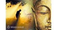Những lợi ích của sự hiểu biết luật nghiệp báo theo Đạo Phật là gì ?