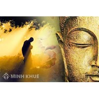 Những lợi ích của sự hiểu biết luật nghiệp báo theo Đạo Phật là gì ?
