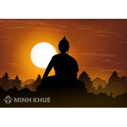 Cây cỏ, cát đá có nghiệp không ? Cây cỏ, cát đá có phải là chúng sinh theo Đạo Phật