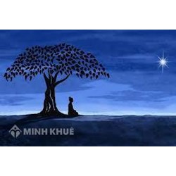 Các hạng chúng sinh trên đường giải thoát theo Đạo Phật