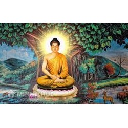 Thiền định (Samatha) là gì ? Đặc tính, chức năng của thiền định là gì ?