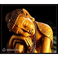 Vấn đạo ngài Mahasi -  Sayadaw U. Dhammika trích Sư Khánh Hỷ soạn dịch