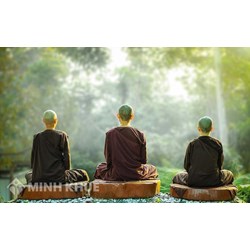 Hướng dẫn trình pháp (quan sát, kinh nghiệm trong quá trình hành thiền) - Hòa thượng Pandita