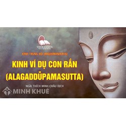 Kinh VÍ DỤ CON RẮN (Alaggadupamasutttam) – Ác Kiến (HT. Thích Minh Châu dịch)