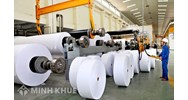 Quy định về định mức tiêu hao năng lượng trong ngành sản xuất giấy