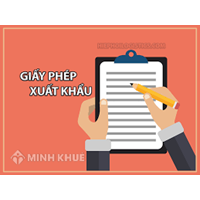 Danh mục hàng hóa cần có giấy phép xuất khẩu, giấy phép nhập khẩu