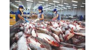 Định mức tiêu hao năng lượng áp dụng cho quá trình chế biến công nghiệp của các nhóm sản phẩm cá da trơn và tôm