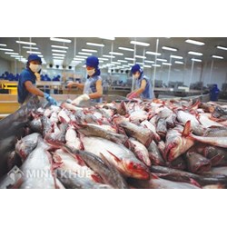 Định mức tiêu hao năng lượng áp dụng cho quá trình chế biến công nghiệp của các nhóm sản phẩm cá da trơn và tôm