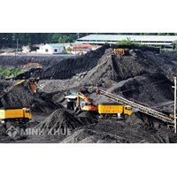 Yêu cầu đối với giám đốc điều hành mỏ khai thác khoáng sản là gì?