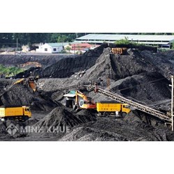 Yêu cầu đối với giám đốc điều hành mỏ khai thác khoáng sản là gì?