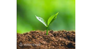 Đất đứng tên hộ gia đình thì phải bán như thế nào mới đúng quy định?