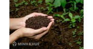Giáo viên có được mua đất trồng lúa không?