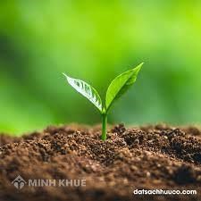 Đất nông nghiệp hết thời hạn sử dụng có cho người khác thuê được không?