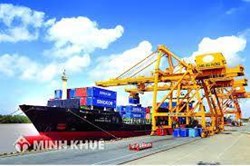 Mức phạt hành vi vi phạm về thực hiện quyền xuất khẩu, nhập khẩu của thương nhân nước ngoài không có hiện diện tại Việt Nam