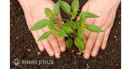 Hết thời hạn thuê đất nông nghiệp có được ký gia hạn thuê thêm không?