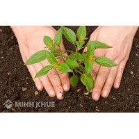 Hết thời hạn thuê đất nông nghiệp có được ký gia hạn thuê thêm không?