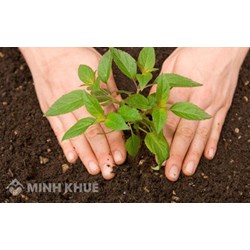 Hết thời hạn thuê đất nông nghiệp có được ký gia hạn thuê thêm không?